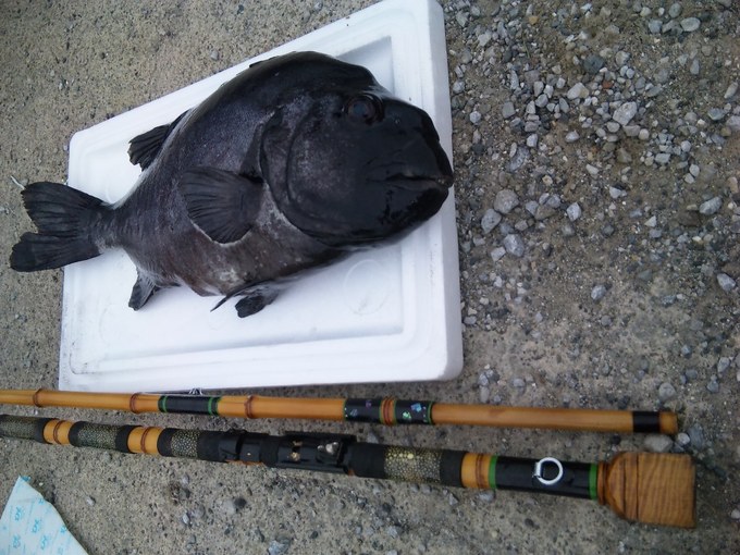 イシダイ竿と石鯛